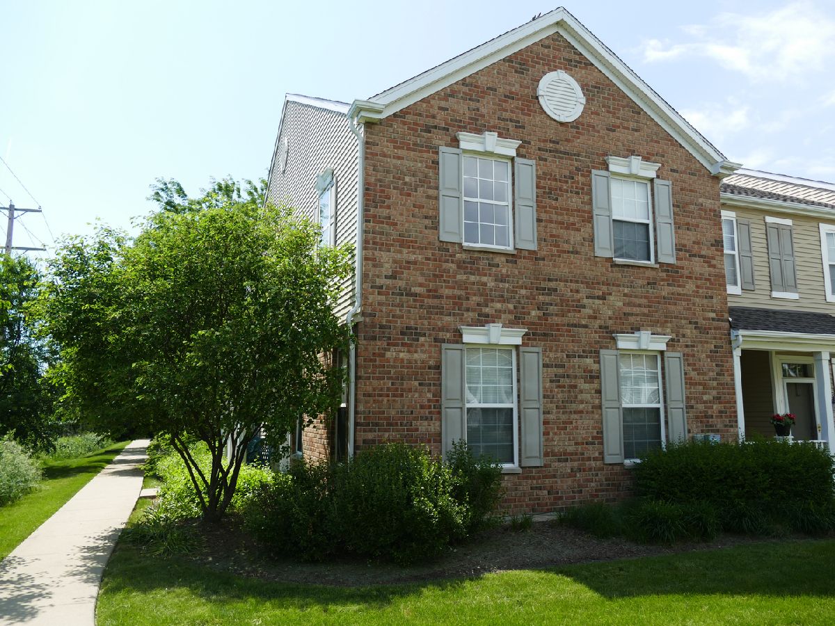 Townhomes Rented Springbrook Trails Oswego Illinois, 231 Springbrook