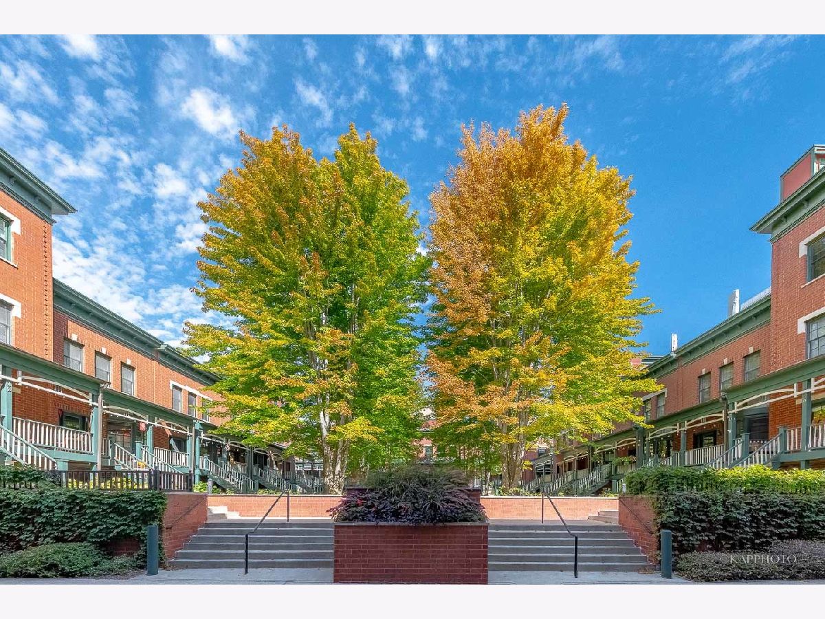 Townhomes Sold Carmichael Place Chicago Illinois, 1038 Monroe