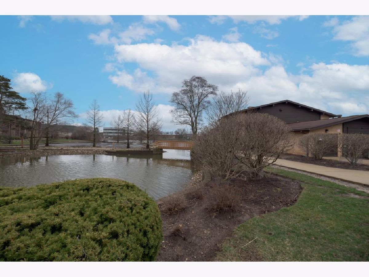 6165 Knollwood Road, Willowbrook, Illinois 60527 MLS 11748545