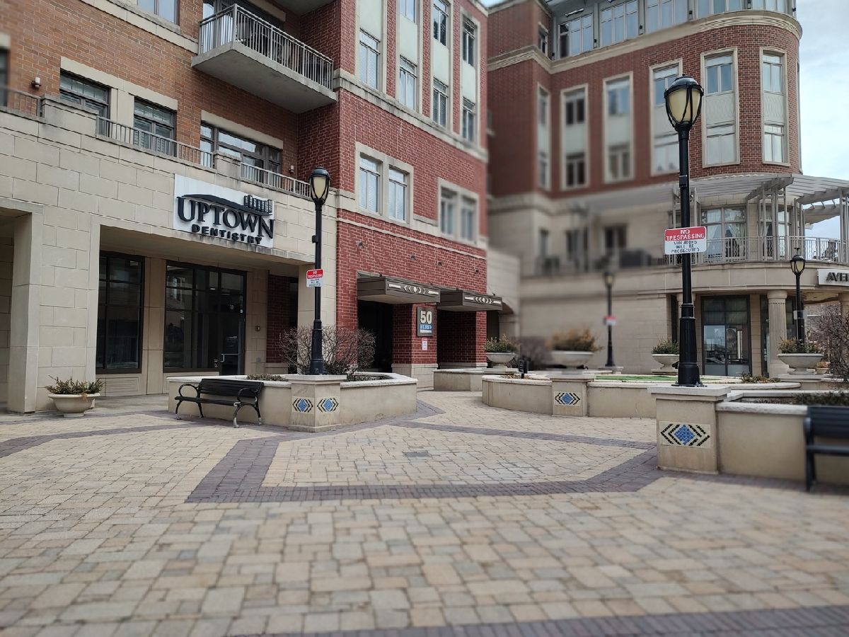 Condominiums & Homes Rented Residences Of Uptown Park Ridge Illinois, 50 Northwest