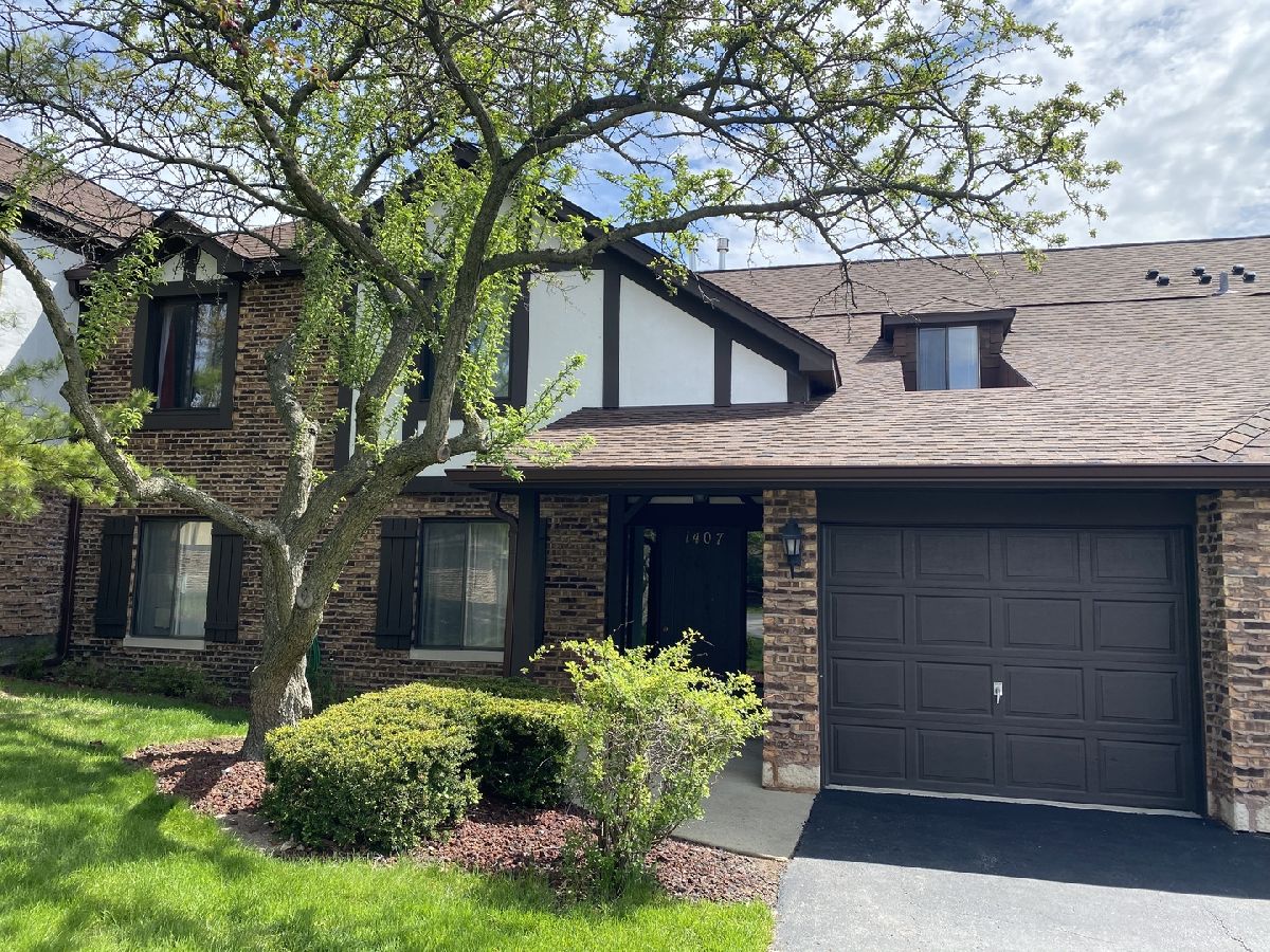 Condos & Townhomes & Homes Rented Briarcliffe Knolls Wheaton Illinois, 1407 Princeton