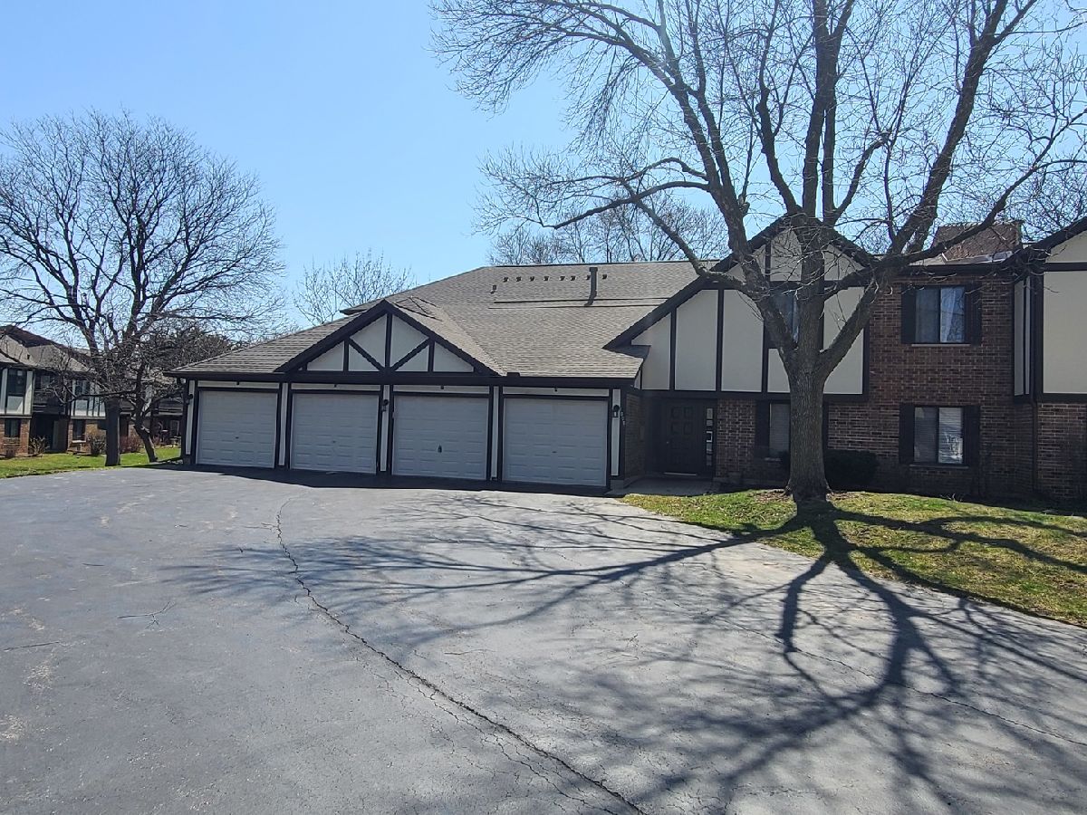 Condos & Townhomes Rented Kingsbrooke Palatine Illinois, 1009 Kevin