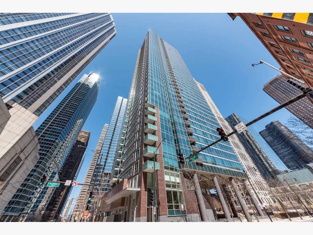 Condos & Townhomes Rented Parkview Condominiums Chicago Illinois, 505 Mcclurg