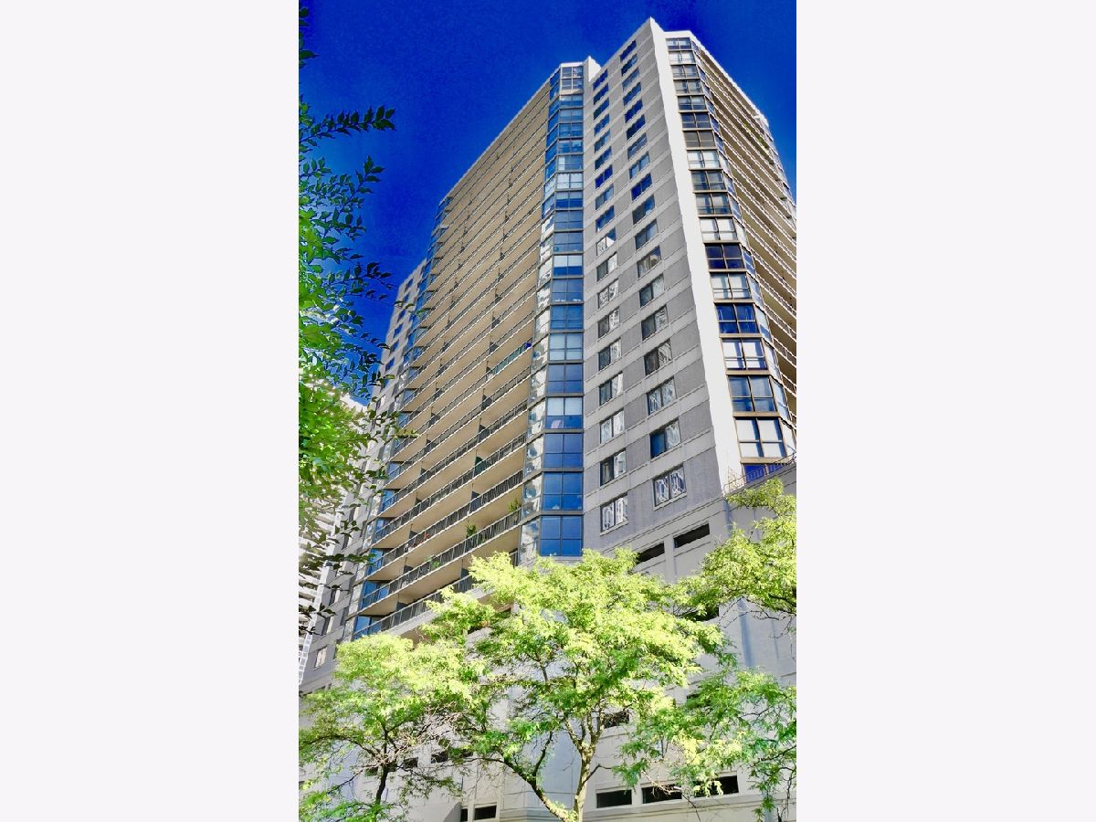 Condos & Townhomes Rented Delaware Place Chicago Illinois, 33 Delaware