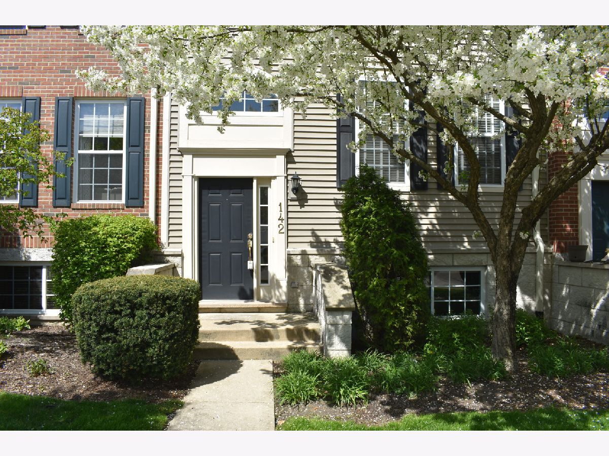 Townhomes Sold Renaissance Station Willow Springs Illinois, 142 Willow