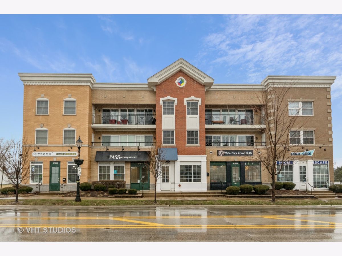 Condos & Townhomes Sold Old Tinley Arms Condos Tinley Park Illinois, 17212 Oak Park