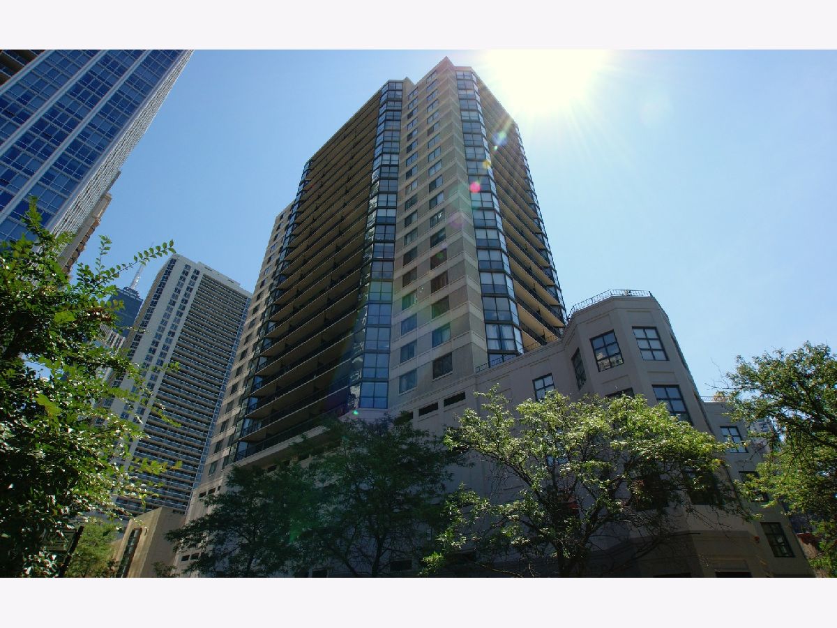 Condos & Townhomes Rented Delaware Place Chicago Illinois, 33 Delaware