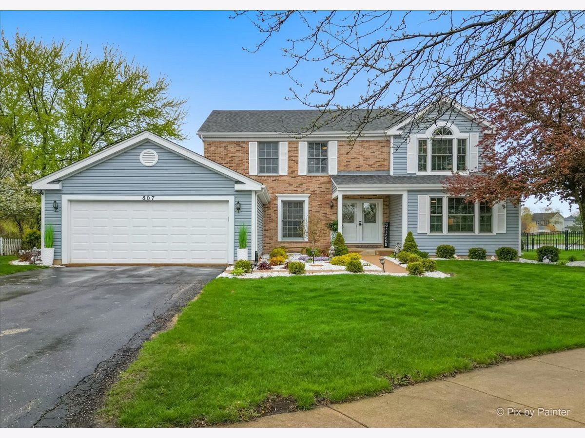 Homes Sold Willow Lakes North Aurora Illinois, 807 Acorn