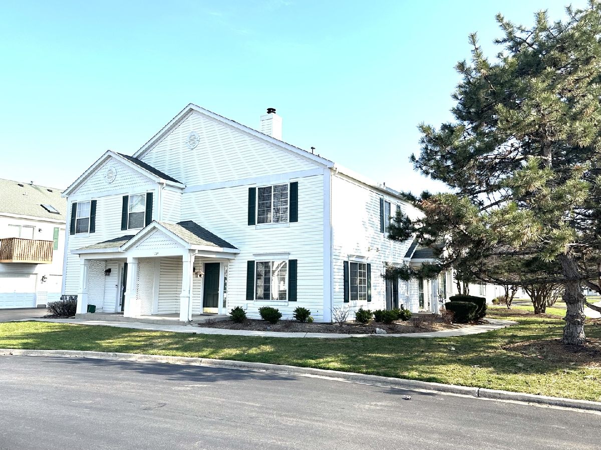 Homes & Townhomes & Condos Rented Heartland Meadows South Elgin Illinois, 719 Fieldcrest