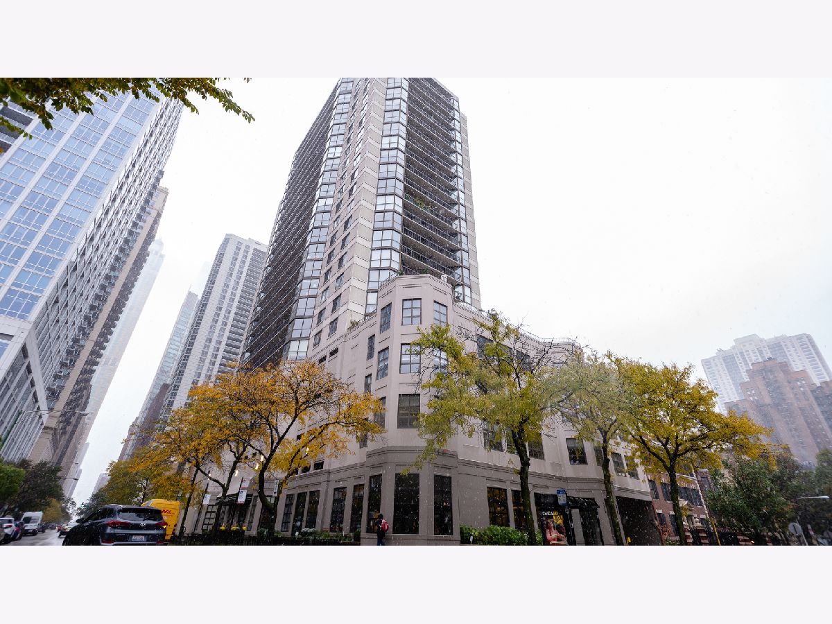 Condos & Townhomes Rented Delaware Place Chicago Illinois, 33 Delaware
