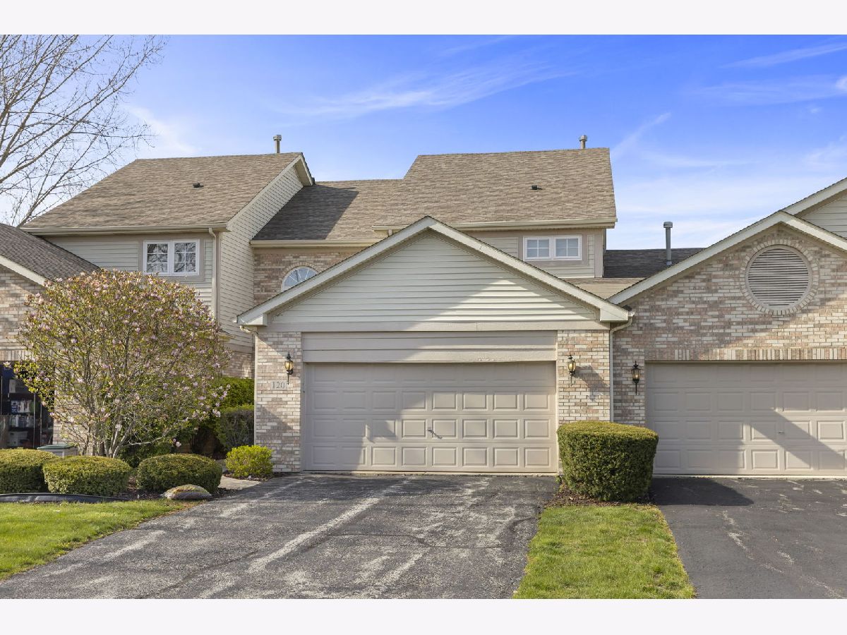 Odyssey Country Club Tinley Park IL, Townhomes & Homes For Sale & For Rent Sadie Winter Dana Cohen