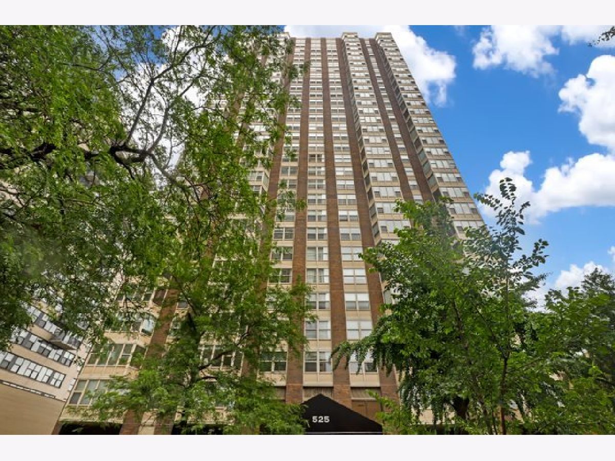 Condos & Townhomes & Homes Sold Hawthorne Place Chicago Illinois, 525 Hawthorne