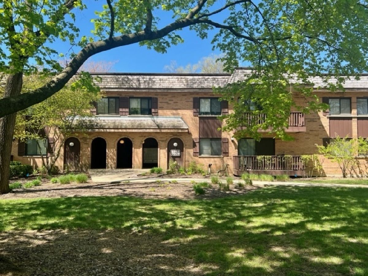 Lake In The Woods Downers Grove IL, Condominiums & Homes For Sale & For