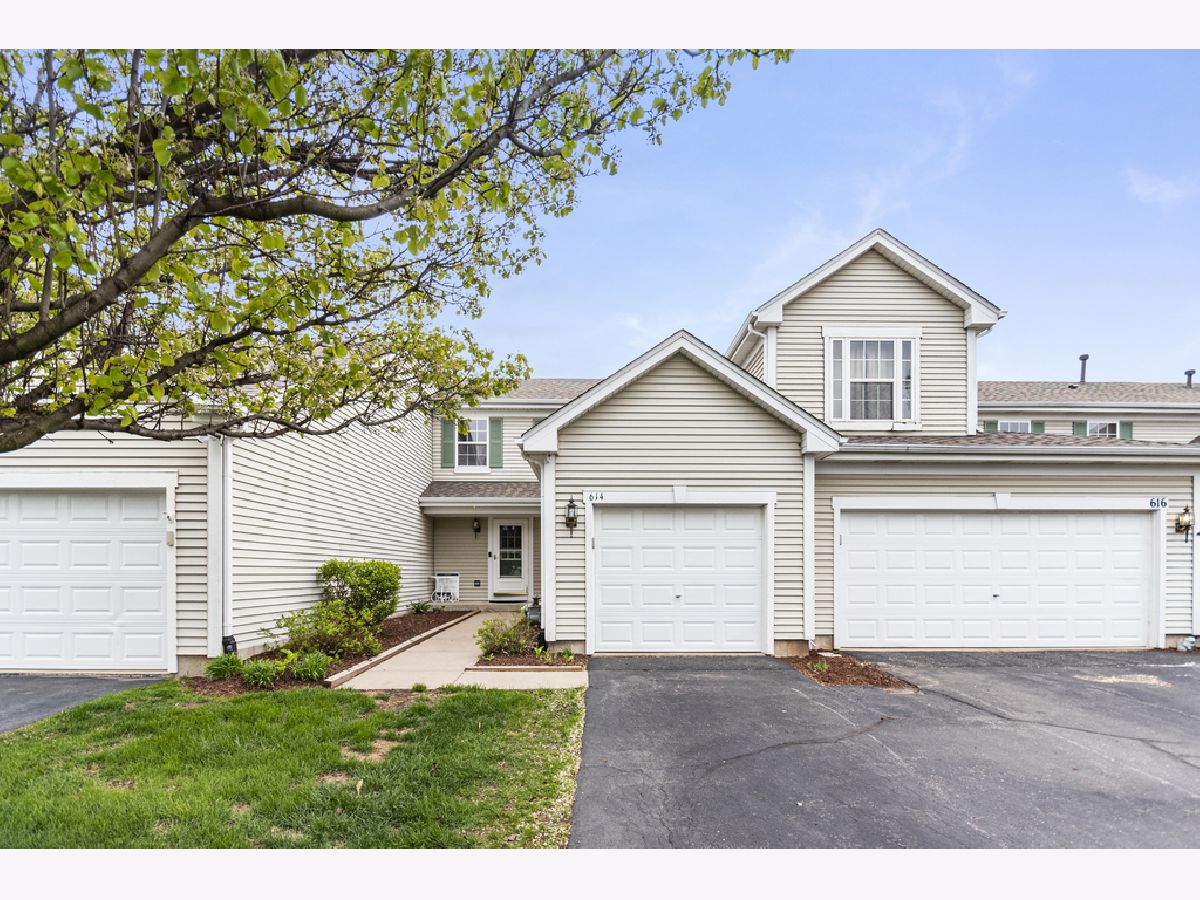 Townhomes & Homes Sold Chestnut Ridge Minooka Illinois, 614 Prairie View