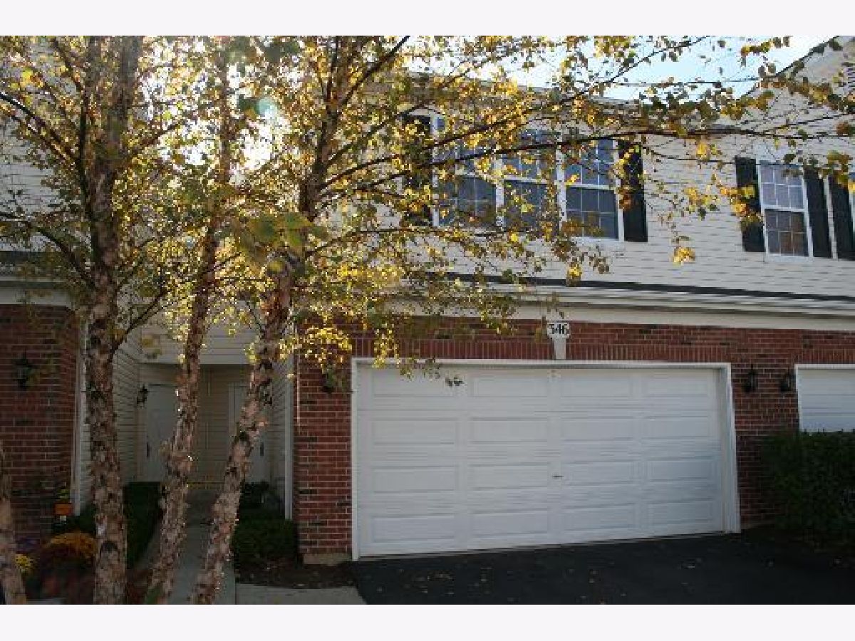 Townhomes & Homes Rented Blackberry Knoll Oswego Illinois, 346 Grape Vine