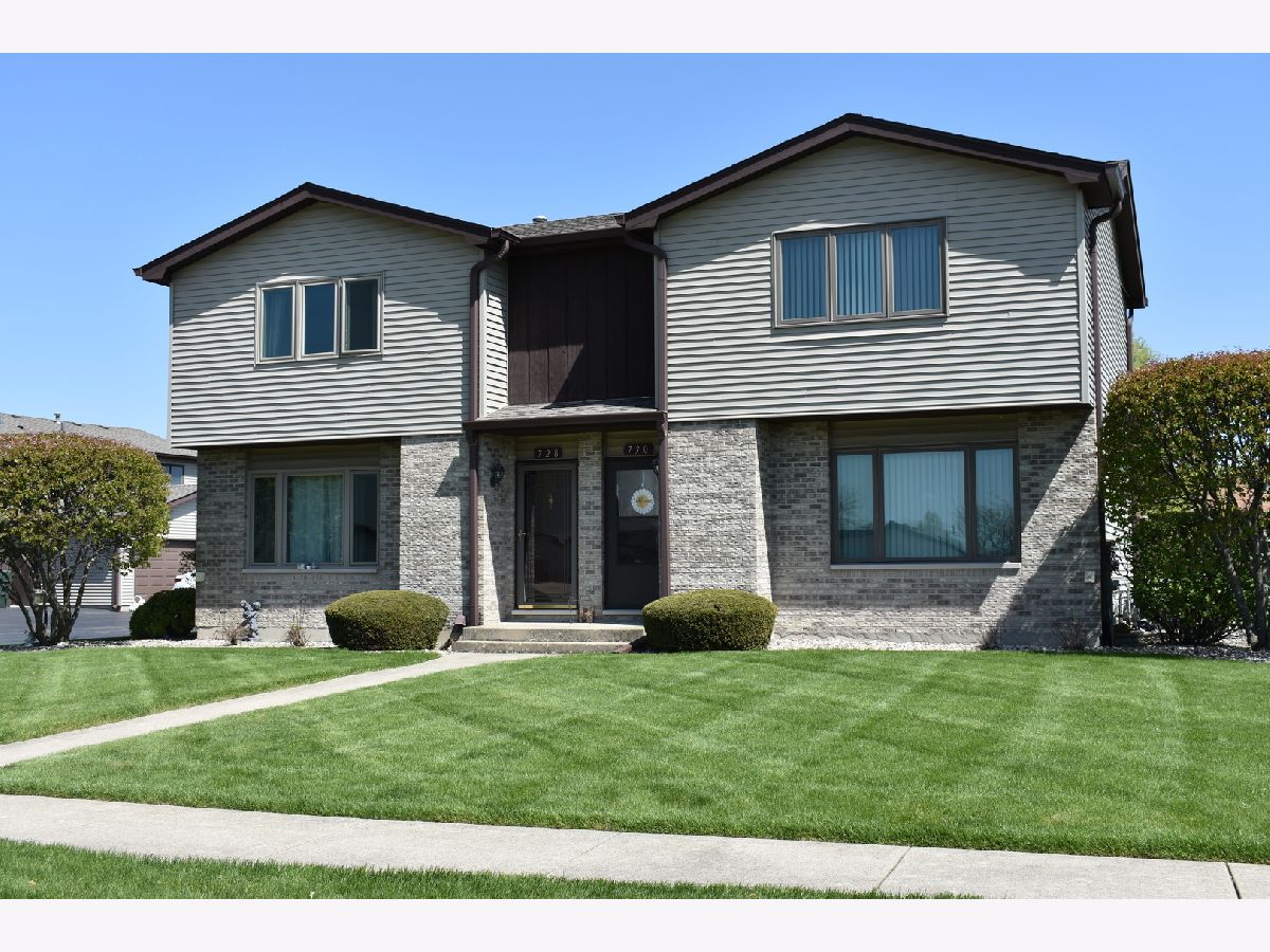 Condos & Townhomes & Homes Sold Windemere East New Lenox Illinois, 728 Brockwood