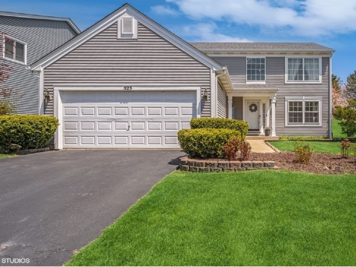 Homes Sold River Ridge South Elgin Illinois, 525 Collins