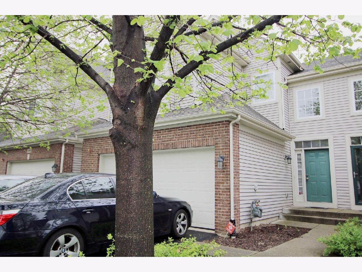 Townhomes & Condos Rented Canterbury Fields Hoffman Estates Illinois, 1904 Maureen