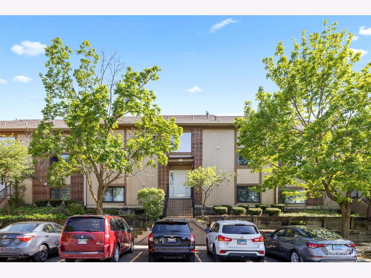 Condos & Townhomes Sold Lofty Condos Bartlett Illinois, 387 Wilmington