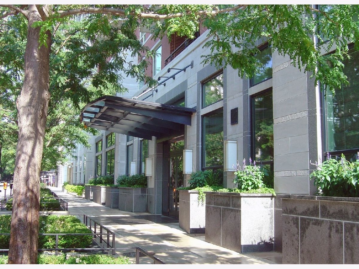 Condos & Townhomes Sold Belvedere Chicago Illinois, 270 Pearson