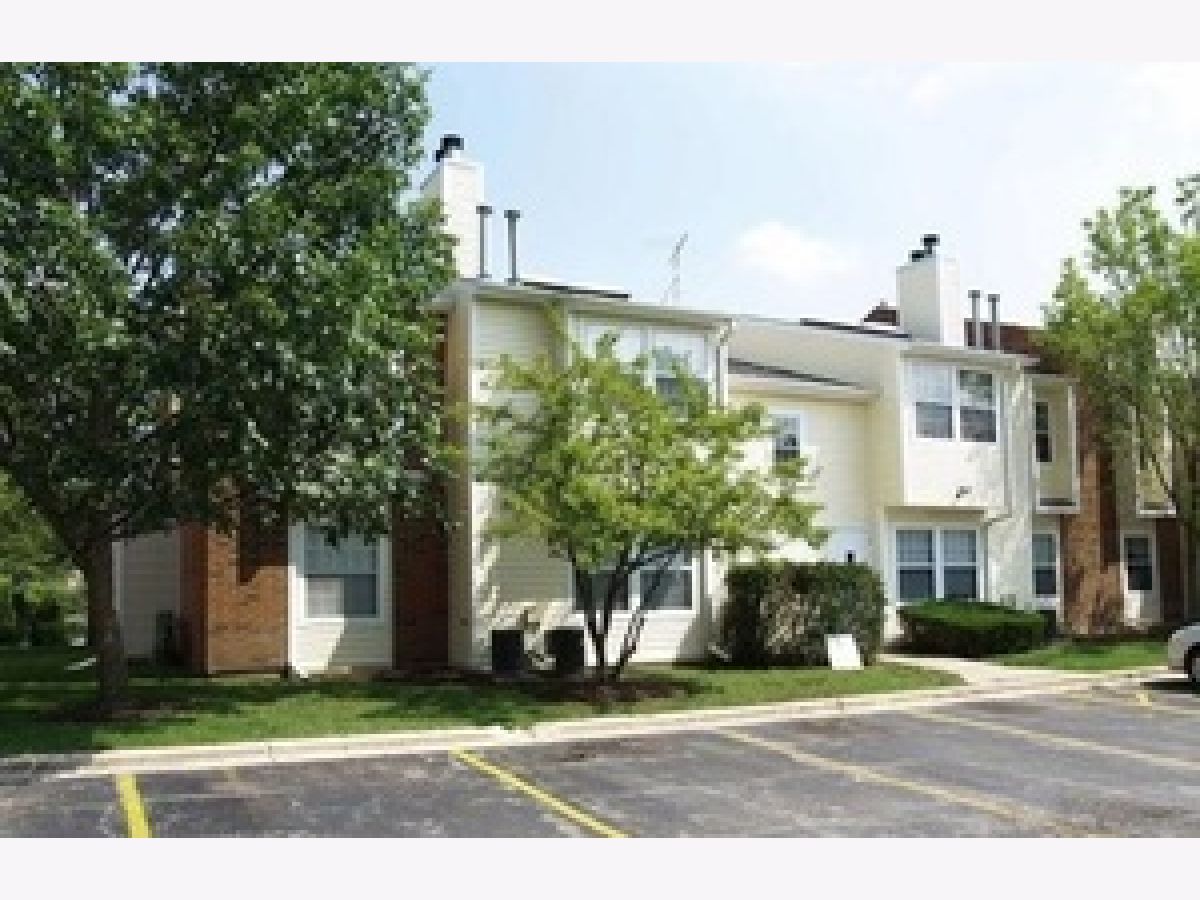 Condos & Townhomes Rented Wyndham Club Palatine Illinois, 1403 Wyndham