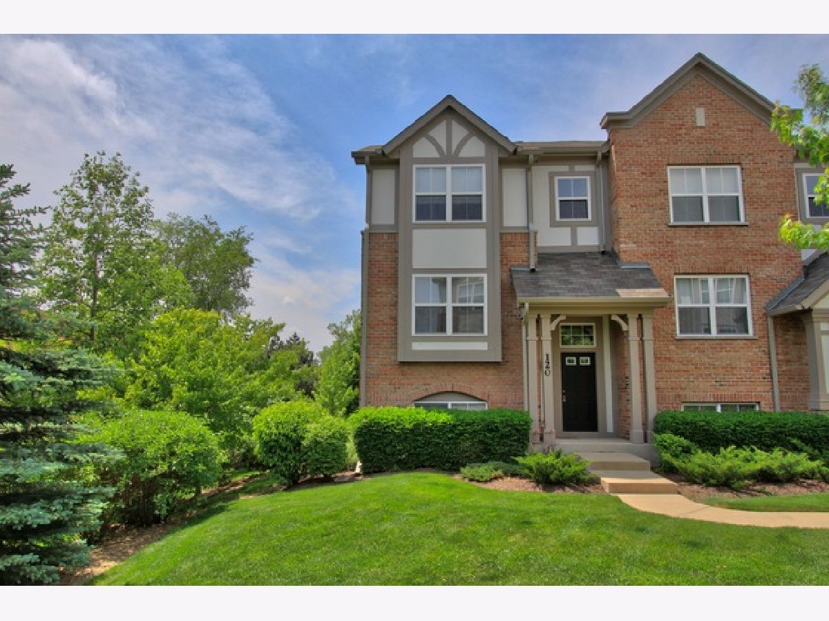 Townhomes & Condos & Homes Rented Concord Village Lake Zurich Illinois, 120 Rosehall