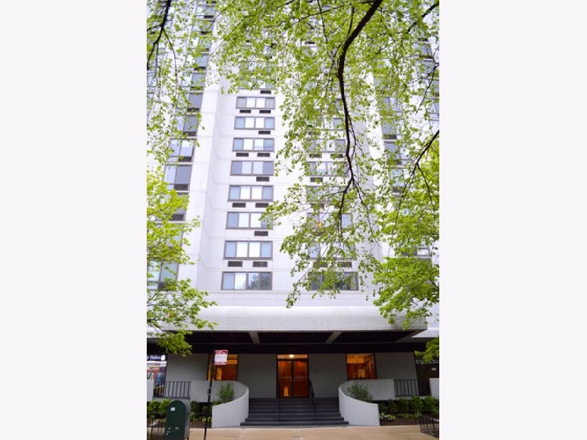 Condominiums Rented The Towers Chicago Illinois, 1221 Dearborn