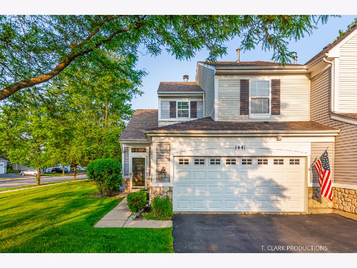 Townhomes & Homes Sold Pinebrook Bolingbrook Illinois, 1441 White Pine