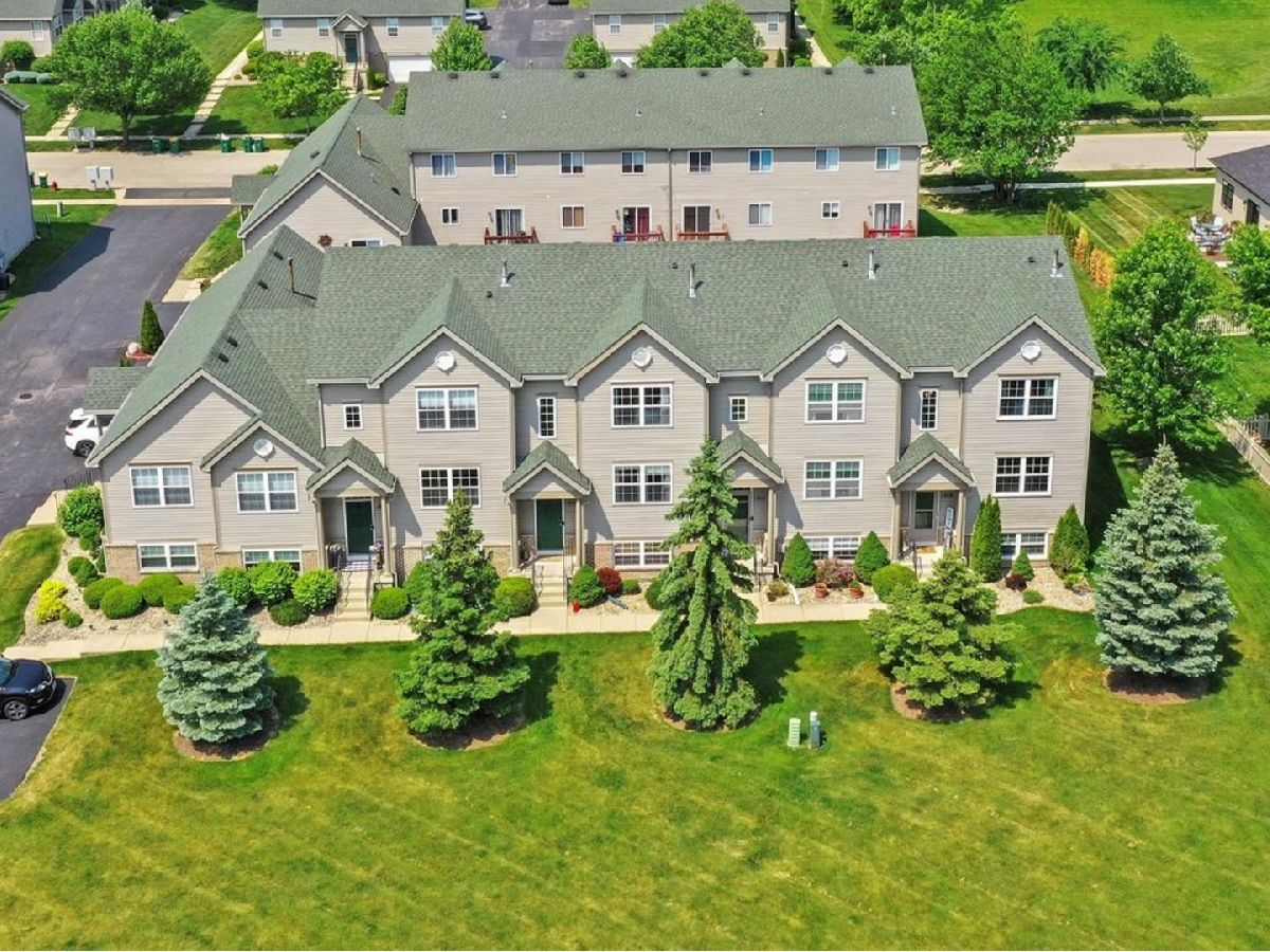 Townhomes & Homes Sold Pine Valley Lockport Illinois, 1910 Austrian Pine