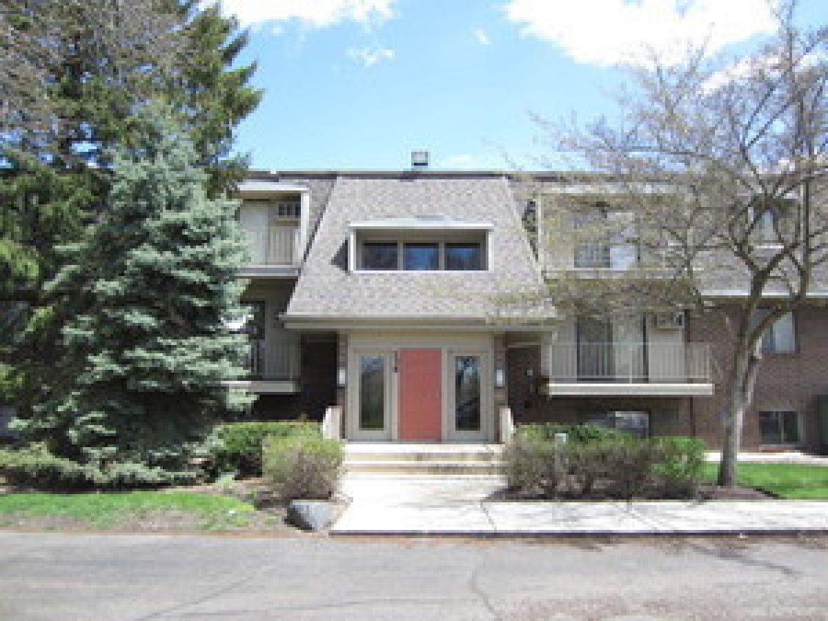 Condominiums Rented Olive Trees Naperville Illinois, 134 Bailey