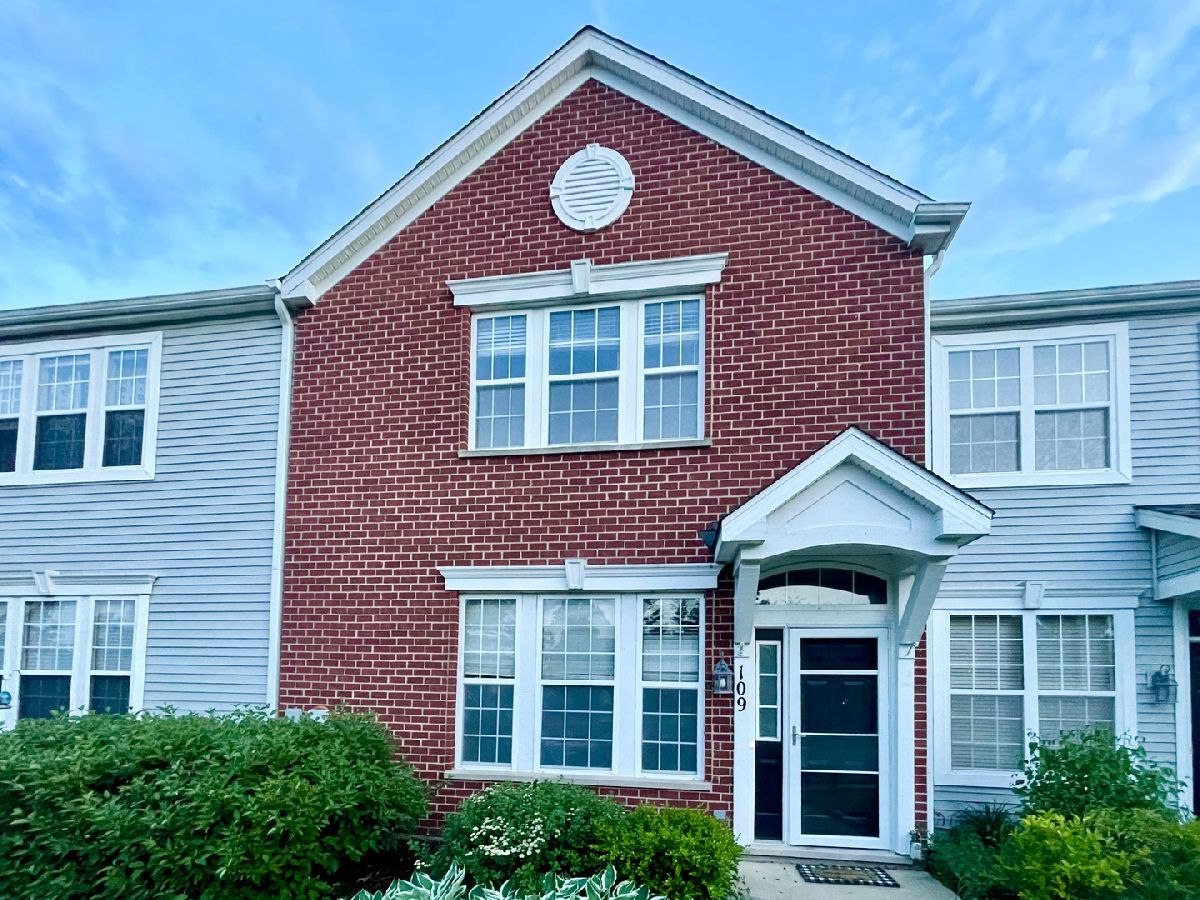  Rented Oswego Illinois, 109 South Springbrook