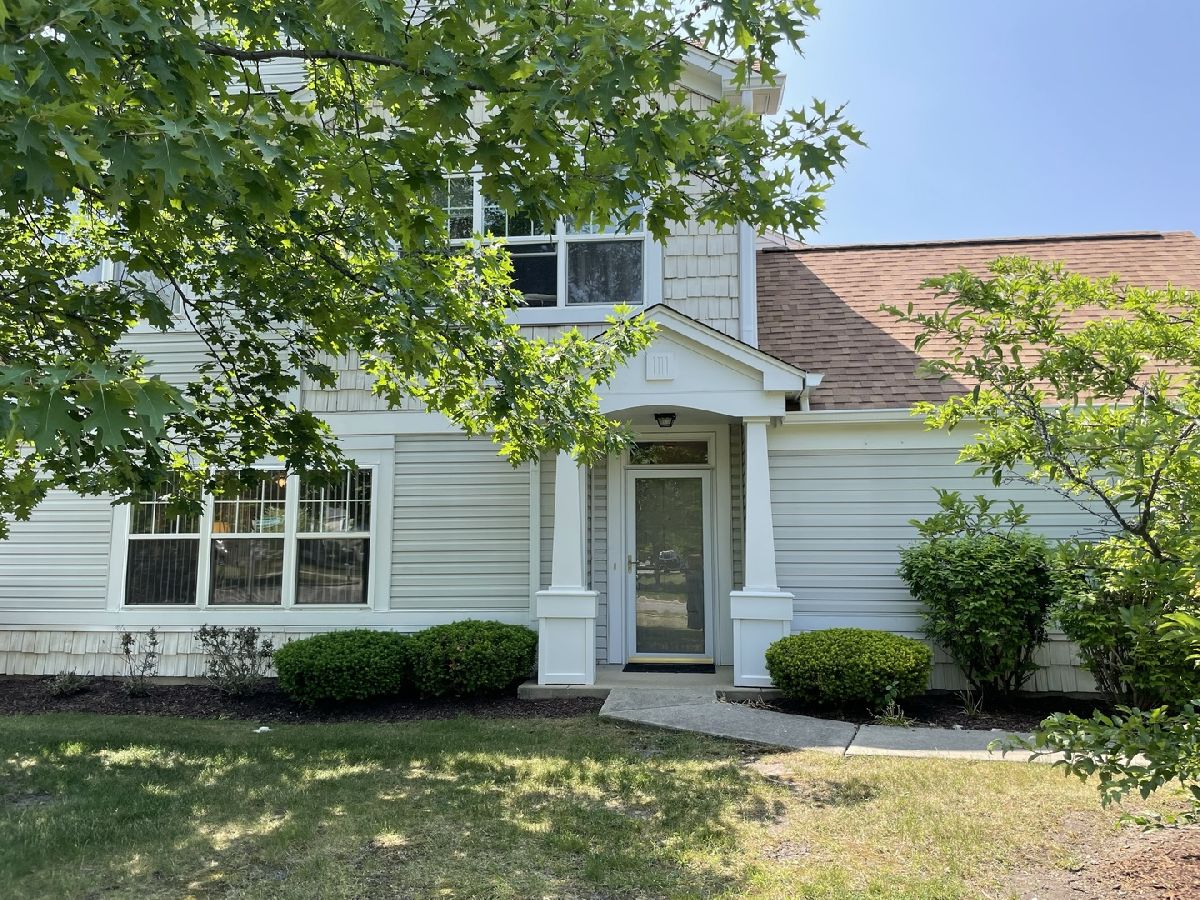 Townhomes & Condos & Homes Sold Willow Bay Club Elgin Illinois, 1149 Delta