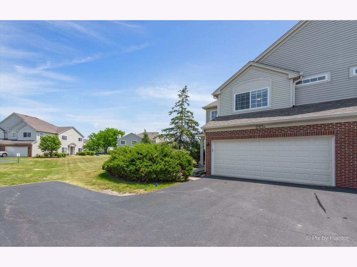 Townhomes & Homes Sold Thornwood Grove South Elgin Illinois, 265 Thornwood