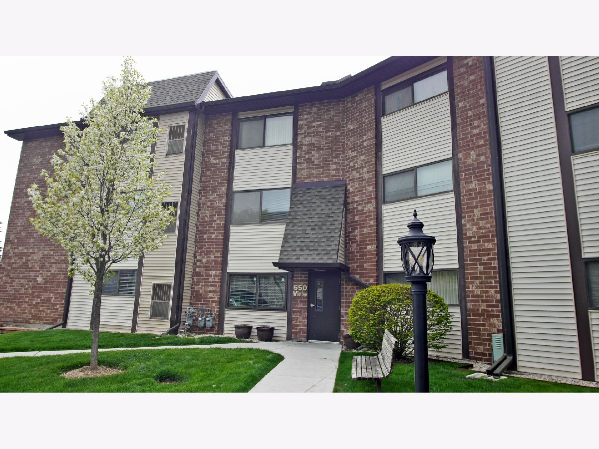 Townhomes & Condos Rented Vine Condominiums Highland Park Illinois, 550 Vine