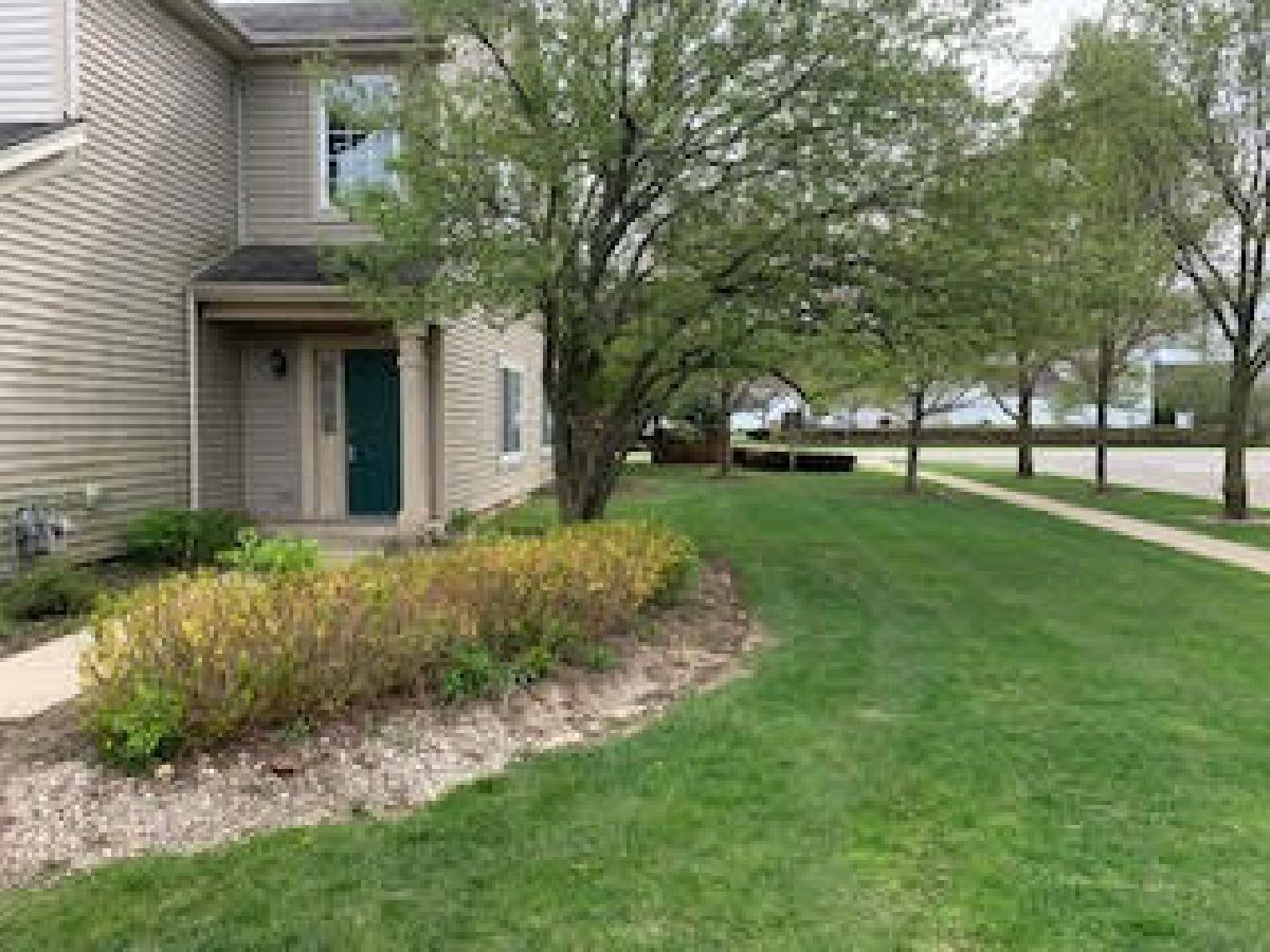 Townhomes & Condos & Homes Rented Shenandoah Carpentersville Illinois, 3600 Roanoke