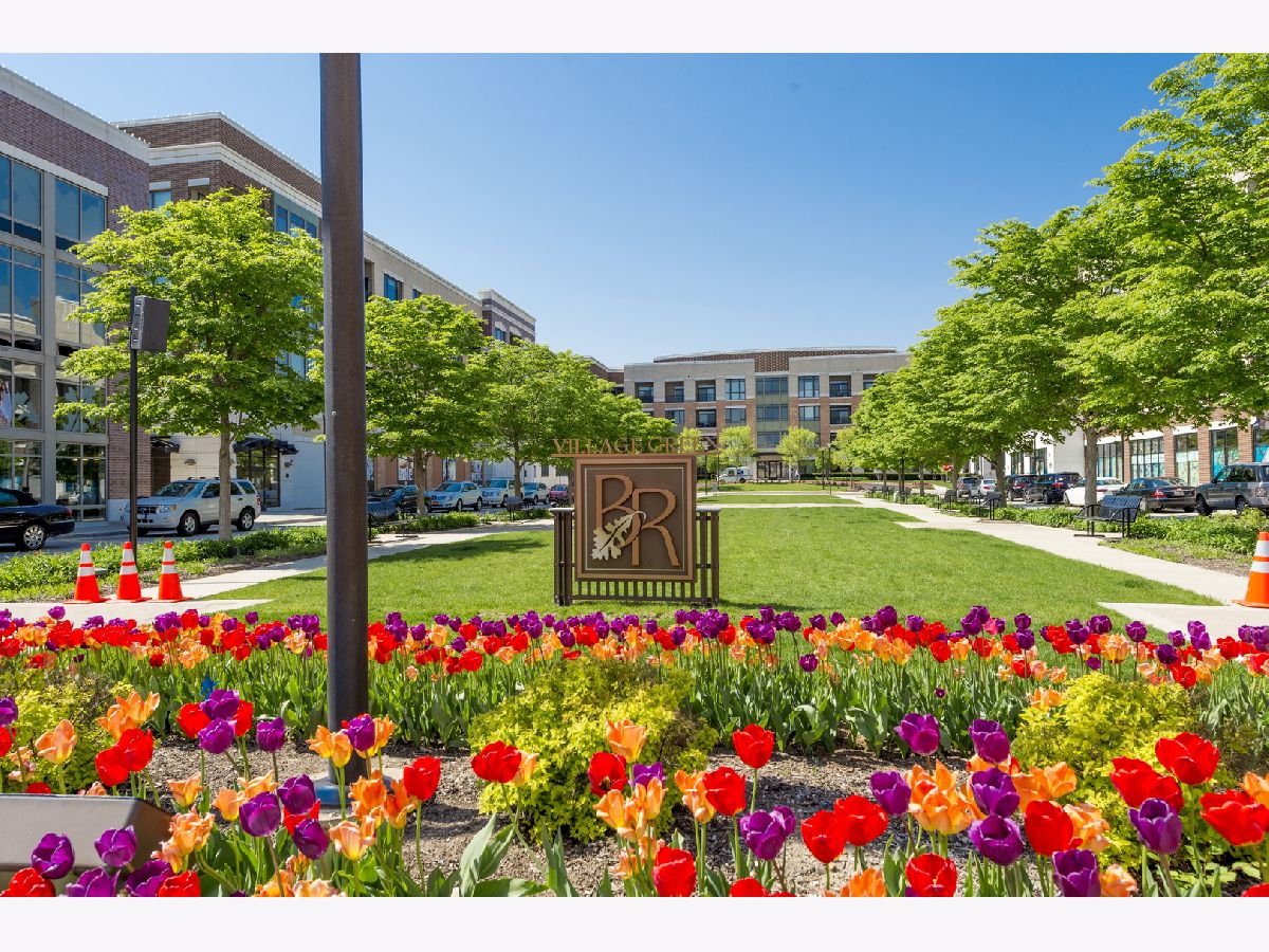 Burr Ridge Village Center Burr Ridge IL, Condominiums For Sale & For Rent Sadie Winter Dana Cohen