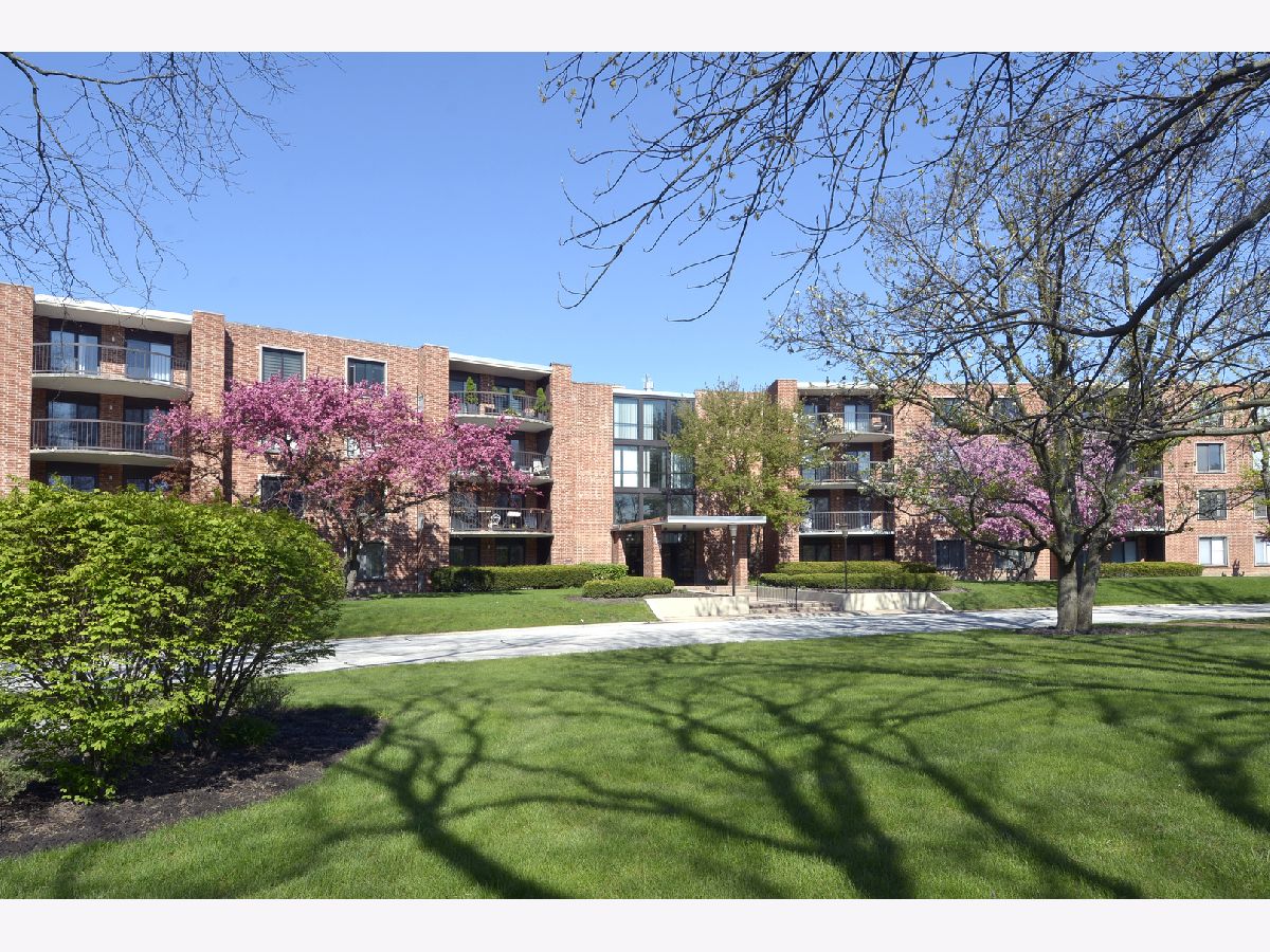 Dana Point Arlington Heights IL, Condominiums For Sale & For Rent