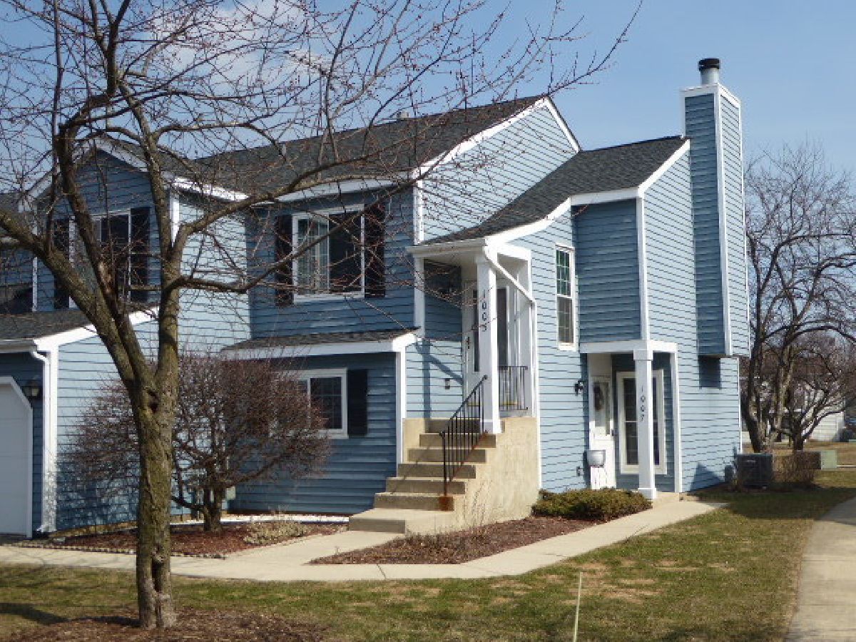 Townhomes & Condos & Homes Rented Summit Place Schaumburg Illinois, 1005 Mallard