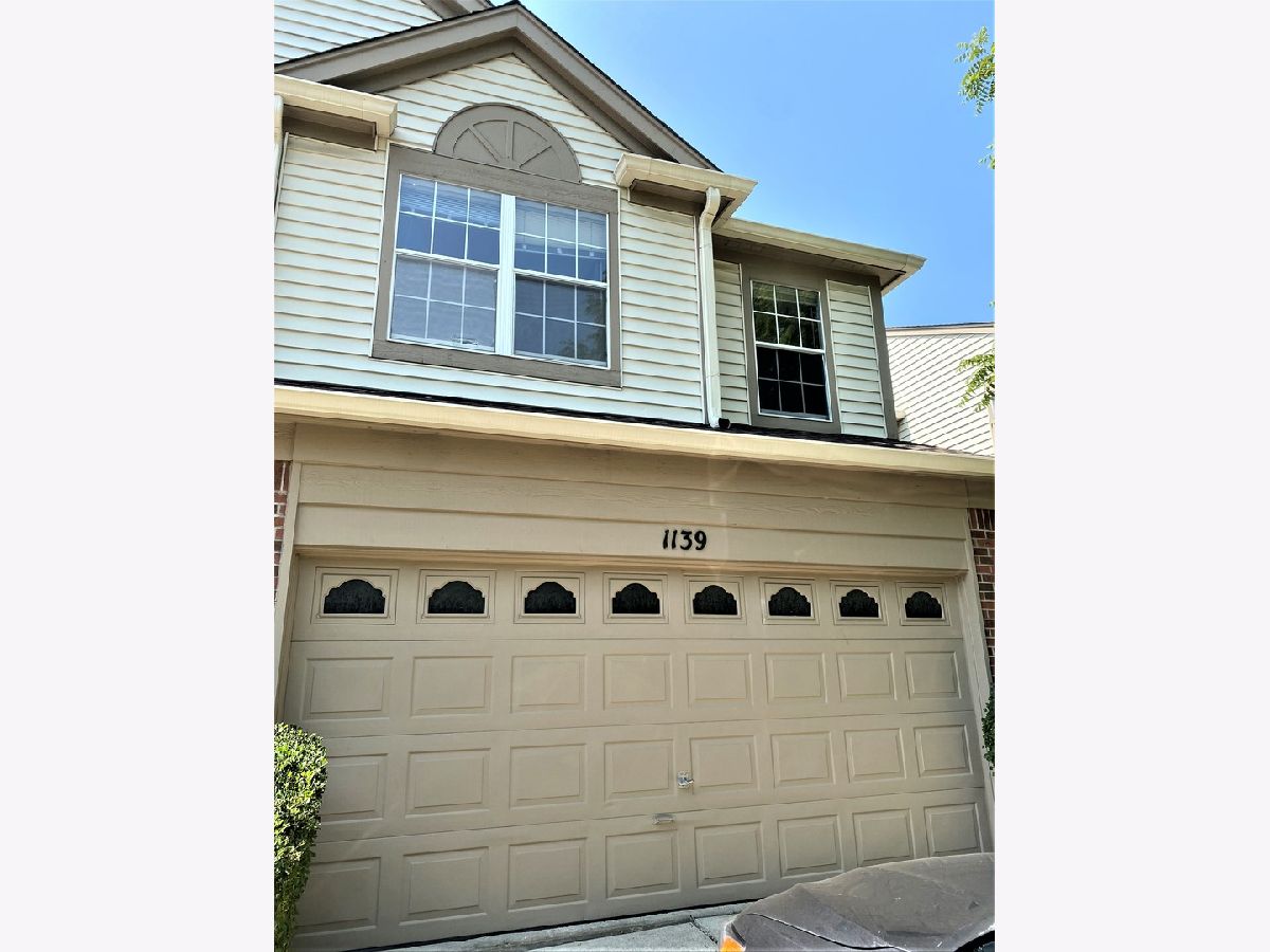 Townhomes & Homes Rented Copperfield Naperville Illinois, 1139 Wickfield