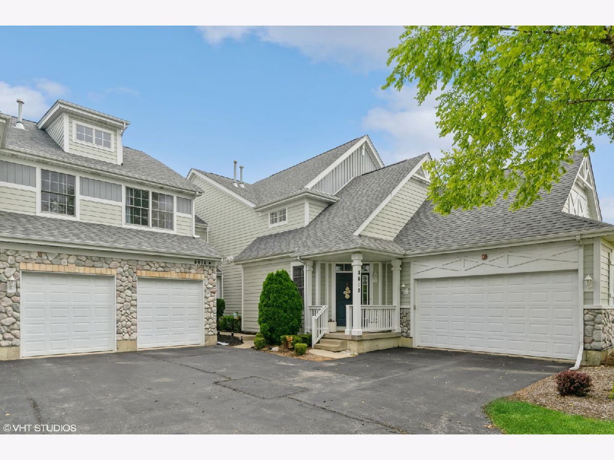 Townhomes & Condos & Homes Sold Windy Hill Farm Frankfort Illinois, 8614 Saddlebred