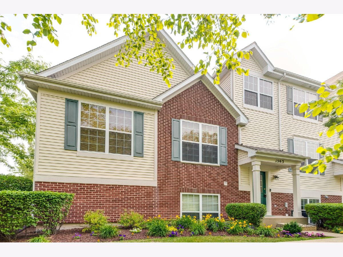 Townhomes & Condos Sold Heron Bay Round Lake Illinois, 1563 Turtle Creek
