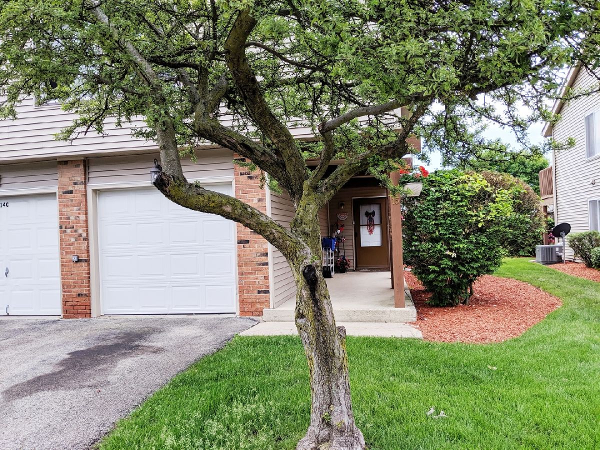 Homes & Townhomes Rented Cherrywood Bolingbrook Illinois, 15 Marywood