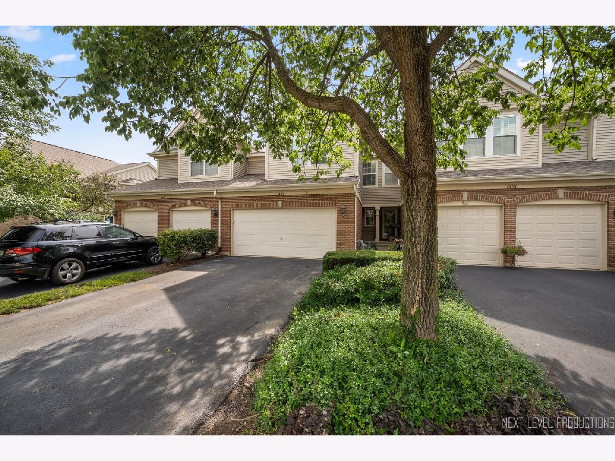 Townhomes Sold Hidden Lake Lisle Illinois, 6138 Dixon