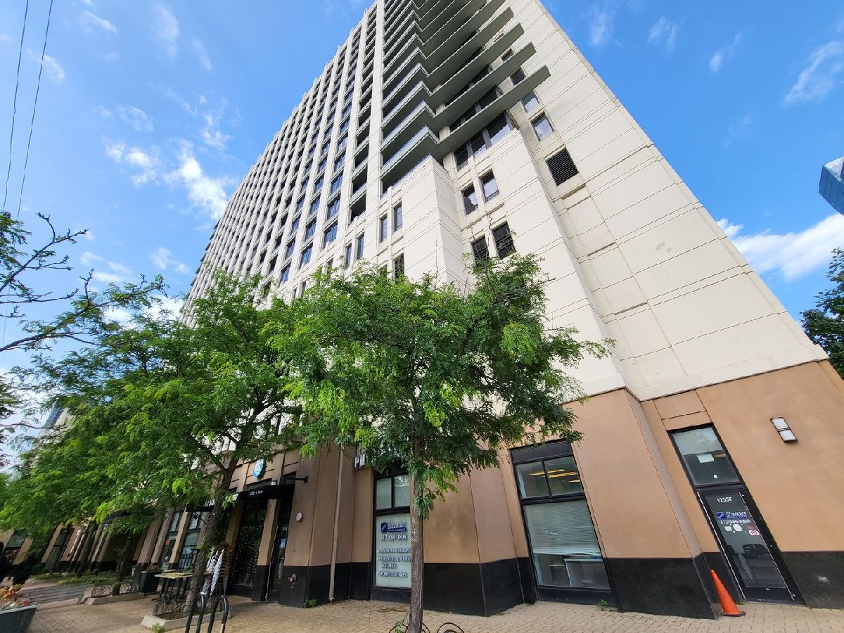 Condominiums Sold Vision On State Chicago Illinois, 1255 State