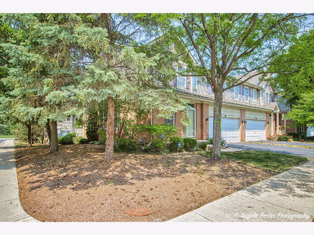 Homes & Townhomes Sold Chestnut Woods Palatine Illinois, 46 Fortwood