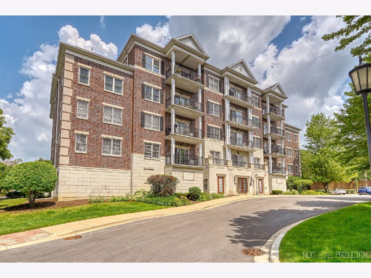 Condominiums Sold Park Avenue Station Clarendon Hills Illinois, 446 Mcdaniels