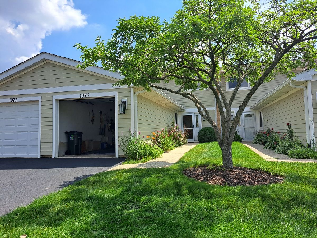 Townhomes Sold Amber Ridge Palatine Illinois, 1075 Cottonwood
