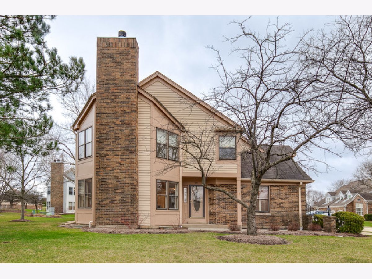 Townhomes & Condos & Homes Rented Woodlands Of Fiore Buffalo Grove Illinois, 69 Willow
