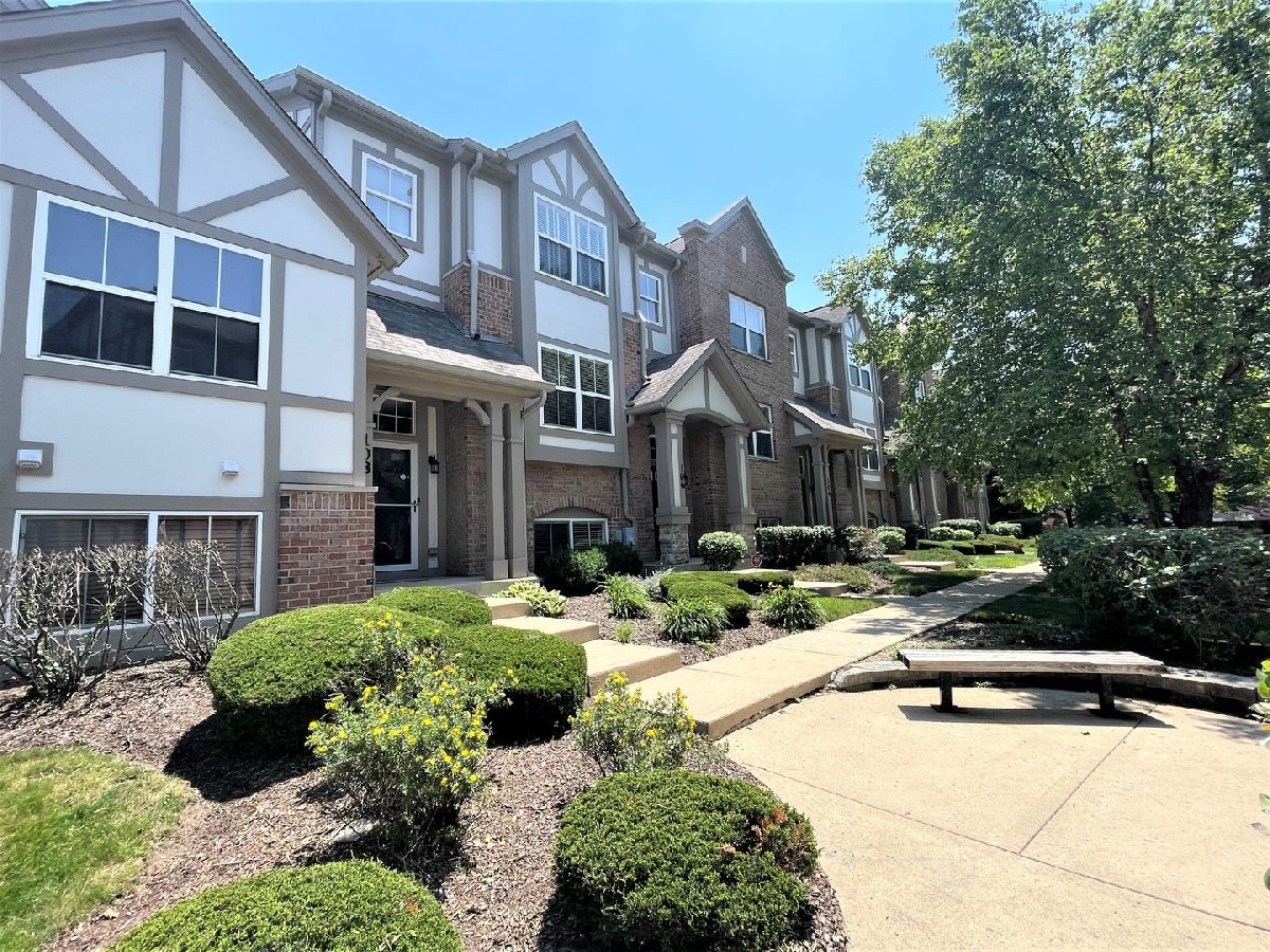 Townhomes & Condos & Homes Rented Concord Village Lake Zurich Illinois, 108 Rosehall