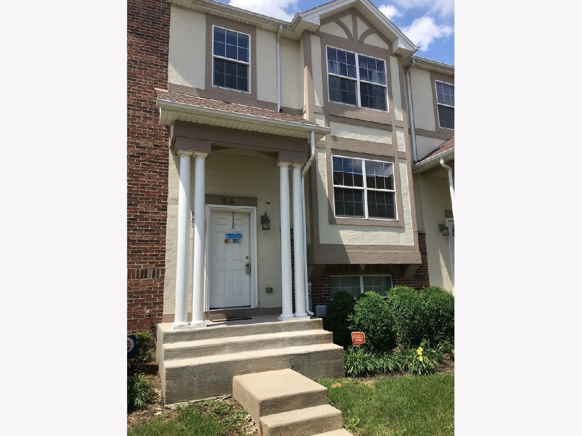 Townhomes Rented Georgetown Street Wood Dale Illinois, 547 George
